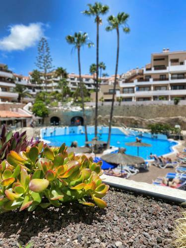 Walk To Golf Heated Pool Apartment