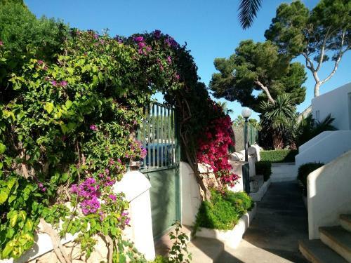 Vallibre Apartments
