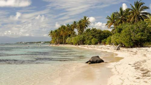 Apartamento A 5 Min Des Plus Belles Plages de L'�le