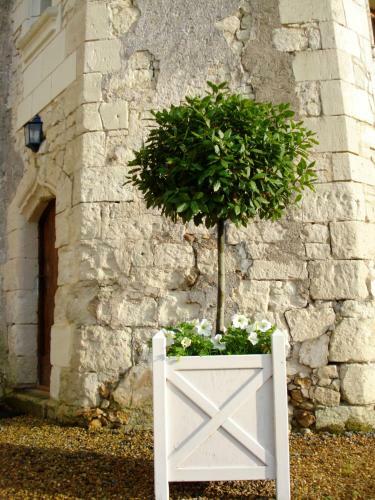 Bed & Breakfast Manoir Du Bois Noblet