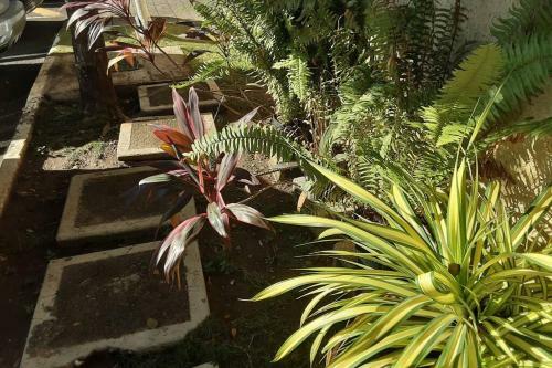 Apartamento The Waterloo Suite 1 B/r Apt: Central & Serene