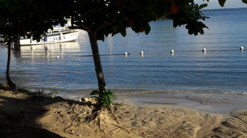 Apartamentos Sandcastles Resort