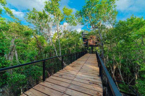 Villa Incre�ble Casa Elevada Con Cenote Privado En Tulum