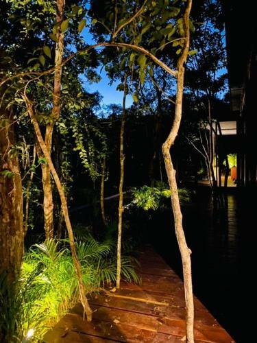 Villa Incre�ble Casa Elevada Con Cenote Privado En Tulum