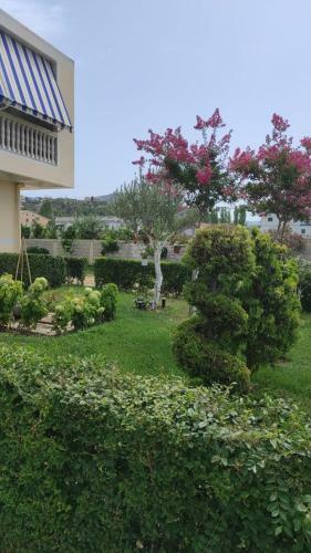 Apartamento Appartamenti Hila
