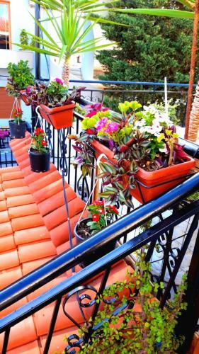 Hostal Villa Heljos Apartaments