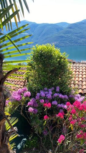 Apartamento Home With Stunning Views To Lake Maggiore