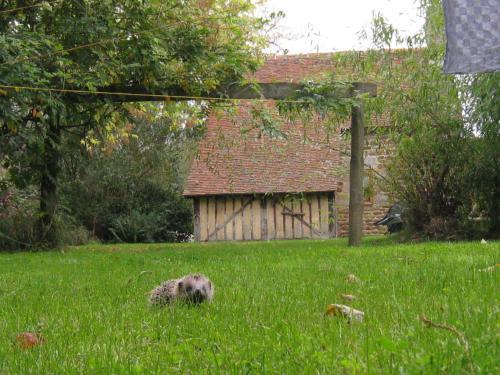 Holiday Home Le Fournil Ceauce