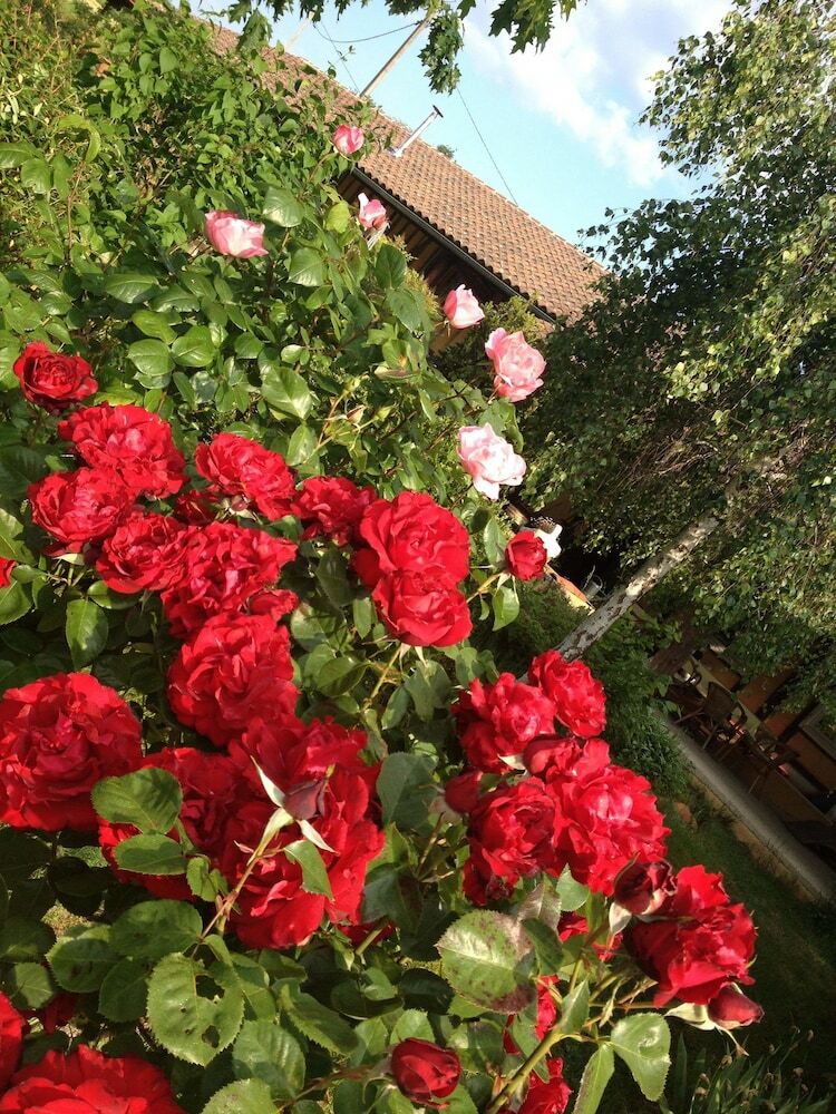 Bed & Breakfast Domaine � Marmande