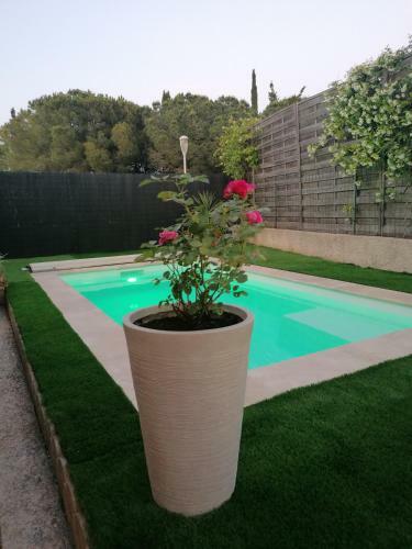 Apartamento Mimilou Rez-de-jardin Avec Piscine & Spa