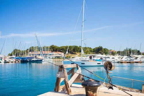 Villa Alba Vrsar With Jacuzzi And Sea View