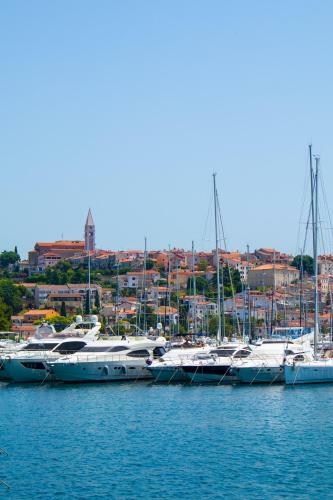 Villa Alba Vrsar With Jacuzzi And Sea View
