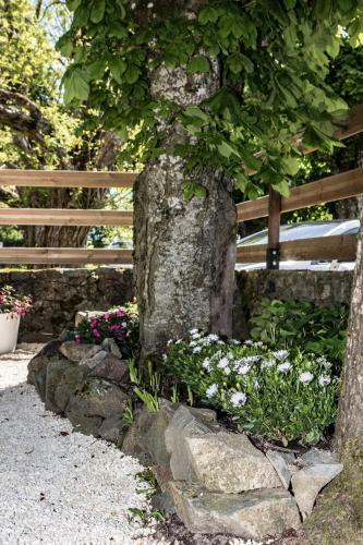Hotel H�tel Saint Pierre