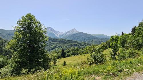 Quiet Village House - Andrijevica