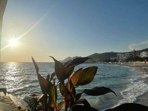 Apartmani Sunce