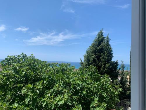 Apartamento Palazzo Carratelli