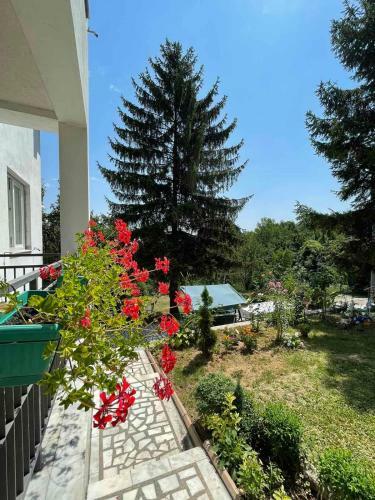 Apartamento Vila Ruzica