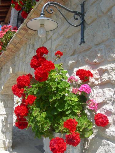Agroturismo Agriturismo Il Portone
