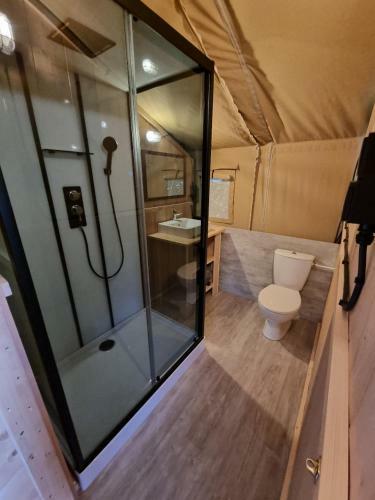 Camping De Tulpenweide