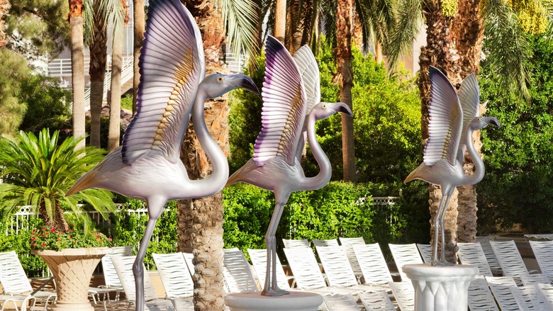 Hotel Flamingo Las Vegas