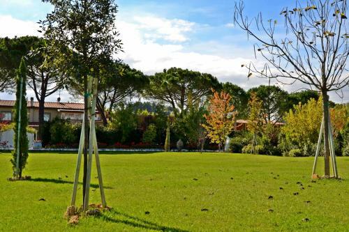 Agroturismo Cevoli Country Resort