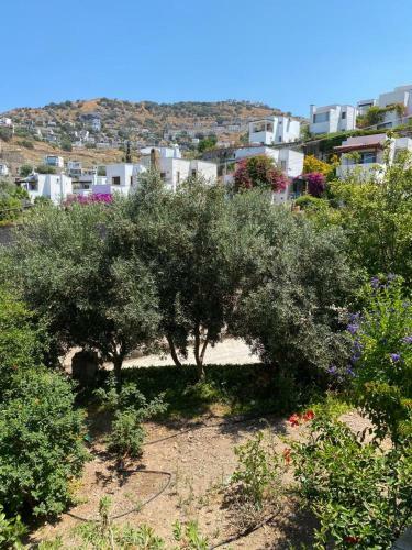 Bodrum G�m�?l�k Rental Villa