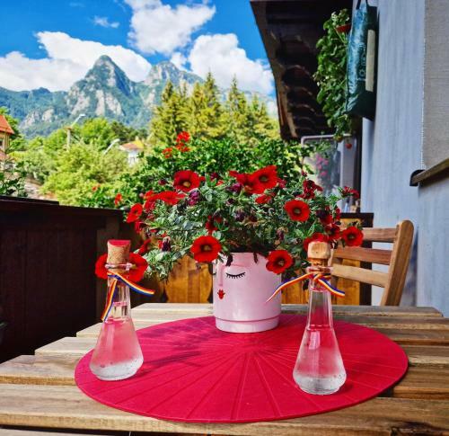 Apartamento Amor Tirol Bu?teni