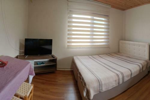 Bed & Breakfast Villa Pamuklu