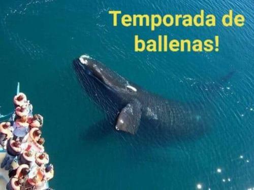 Casa Amplia Con Pileta Climatizada