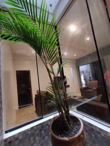 Apartamento Departamento Nuevo En Ayacucho