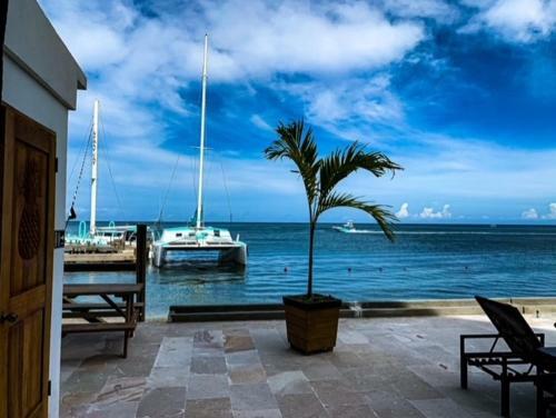 Hotel Brisas Del Mar Beach + Dive Resort