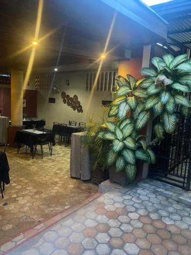 Hotel Hibiscus