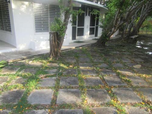 Apartamento Coronado Ya
