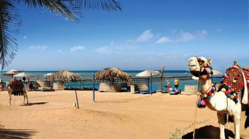 Apartamento Florenza Khamsin Home Hurghada