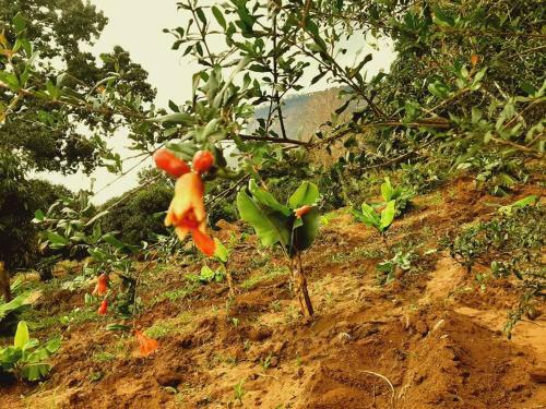 Scenic Villas - Taita Taveta - Kenya