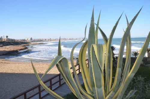 Playamarina II Aparthotel Cabo Roig