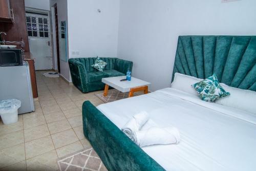 Fully Furnished Studio Apartment In Ruaka