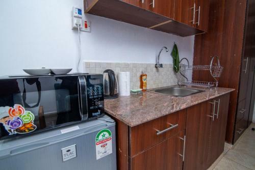 Fully Furnished Studio Apartment In Ruaka