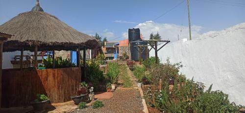 Hotel Jc Iten Training Camp
