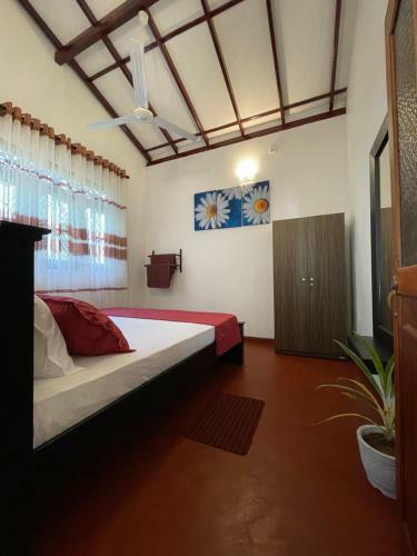 Sunhaven Villa & Apartment