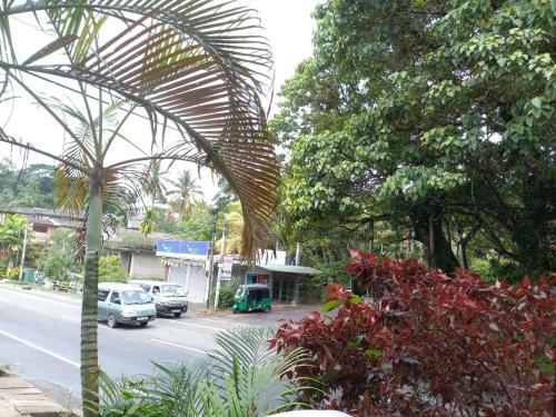 Bed & Breakfast Asiri Homestay