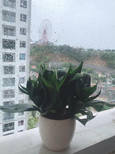 Apartamento Up Home - Homestay H? Long Sapphire