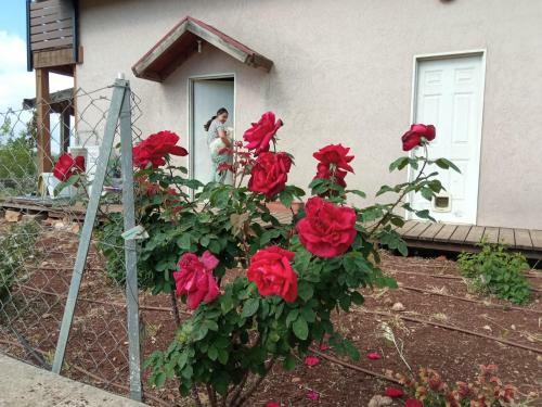 Apartamento Lakeview Chalet In The Galilee