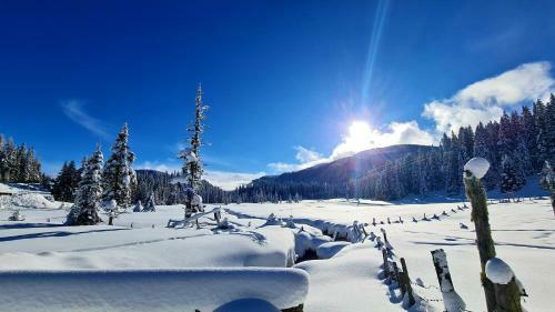 Almchalet Sunset- Carinthia / Flattnitz / 1650m