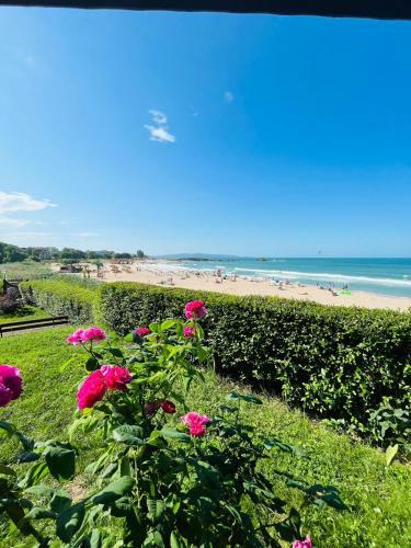 Apartamento Lovely Studio Directly To Beach Area