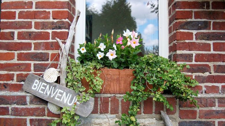Bed & Breakfast Le Manoir Du Menillet