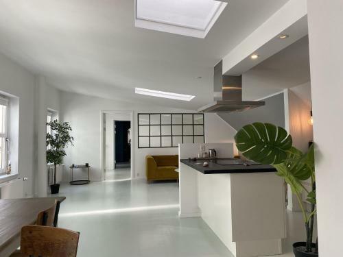 Apartmentincopenhagen Apartment 1491