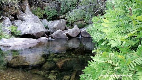 Ba�os de Bosque Suites Vegetales/cascadas 10 Pers.