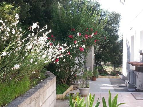 Apartamento A Muntagna R�sidence