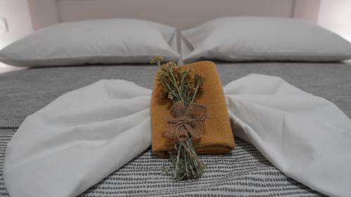 Apartmani Tripalo